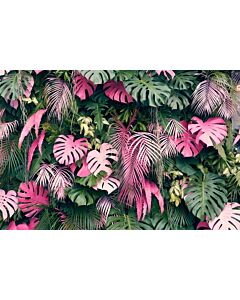 Monstera Pink 150x220cm