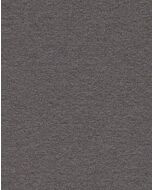 Seal Grey - 111204