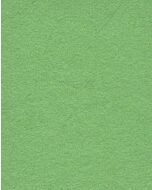 Summer Green - 111263