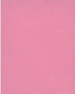 Carnation - 1,35mx11m