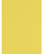 Sunshine - 111278